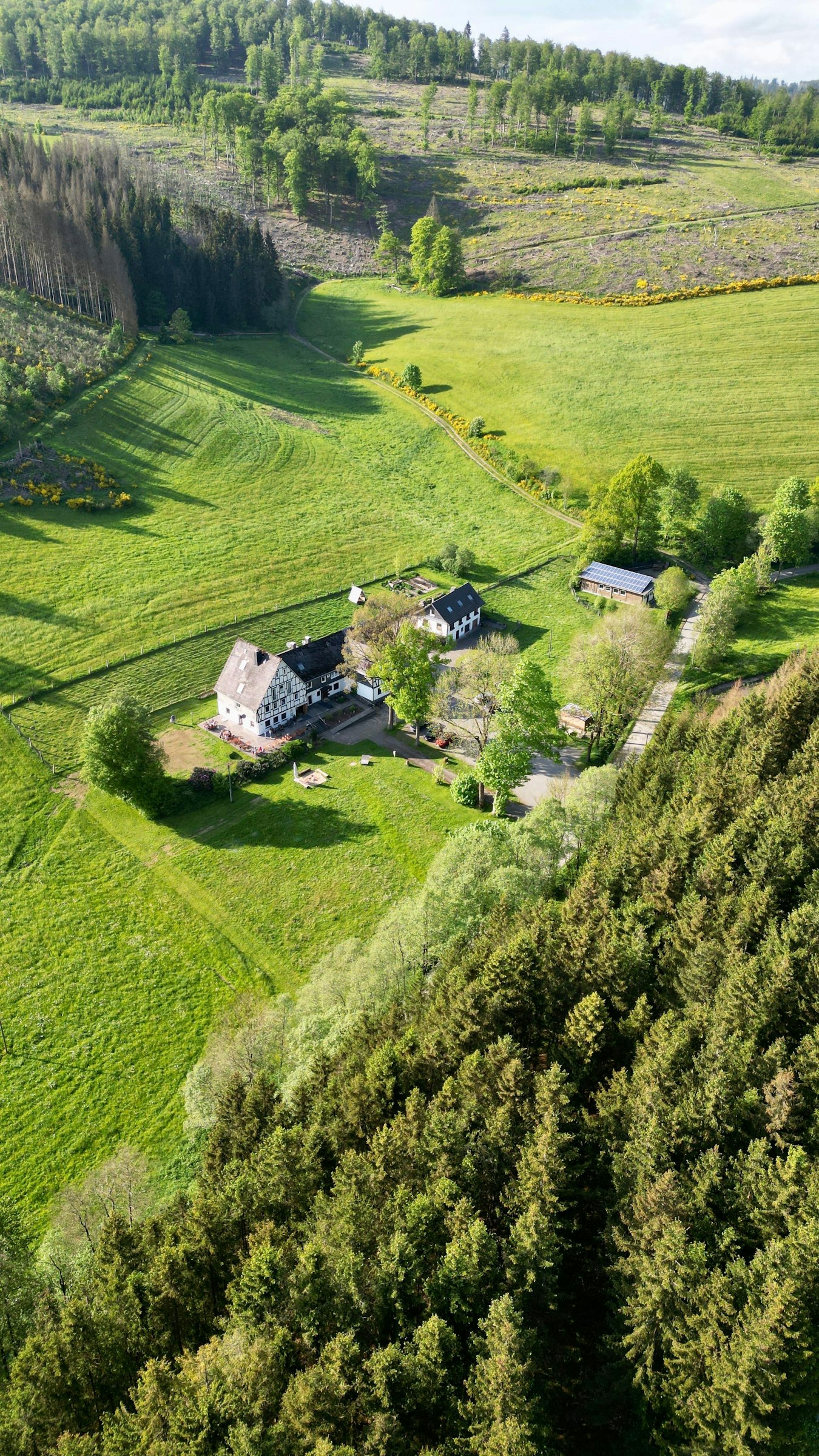 Wald- und Wiesenquartier