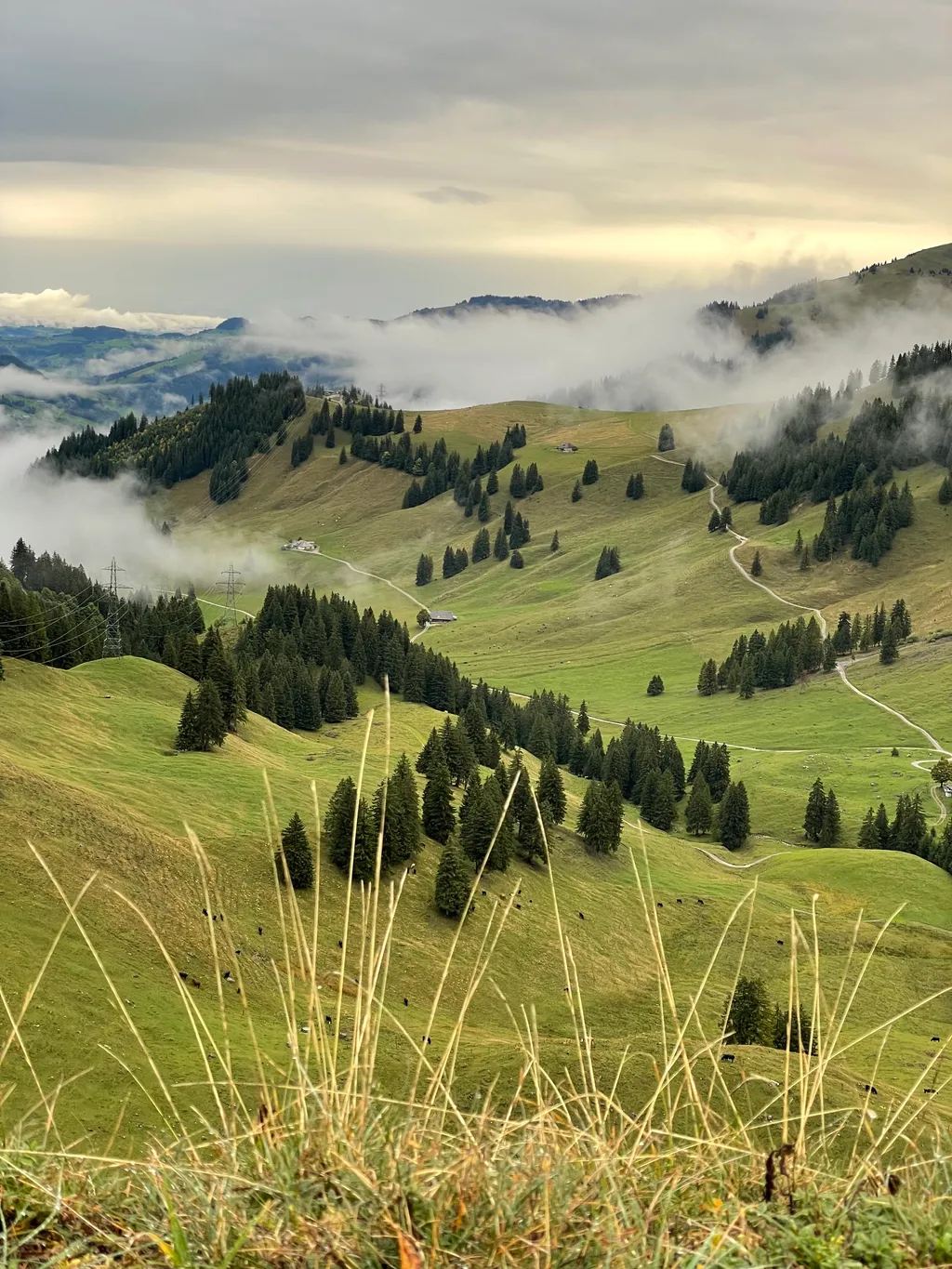 Bild von Maik für den Spot 3536