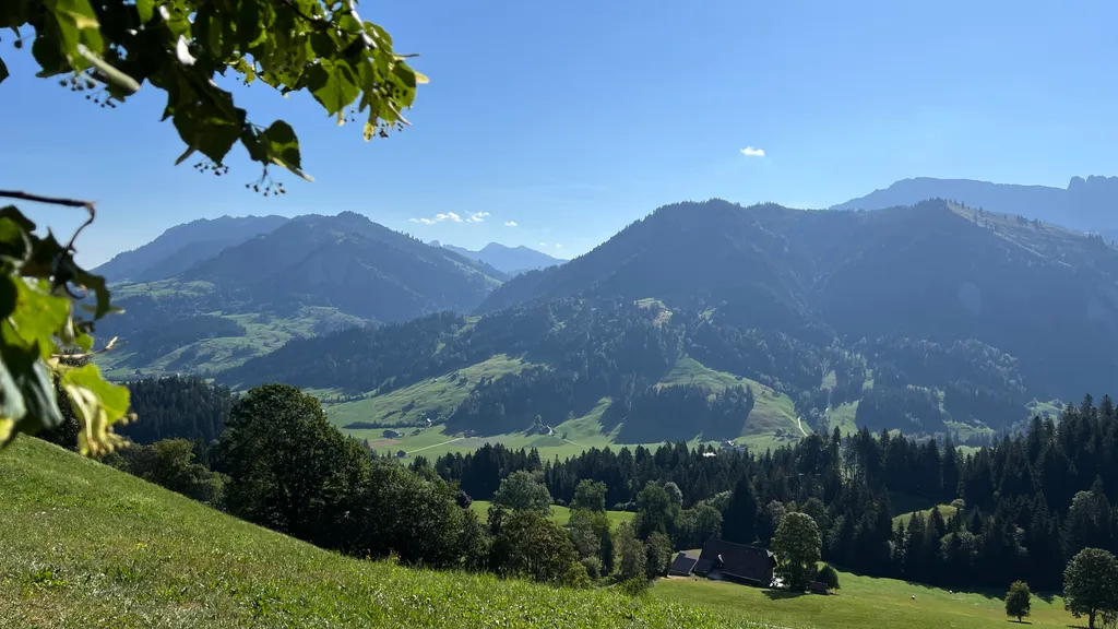 Bild von Susanne für den Spot 358