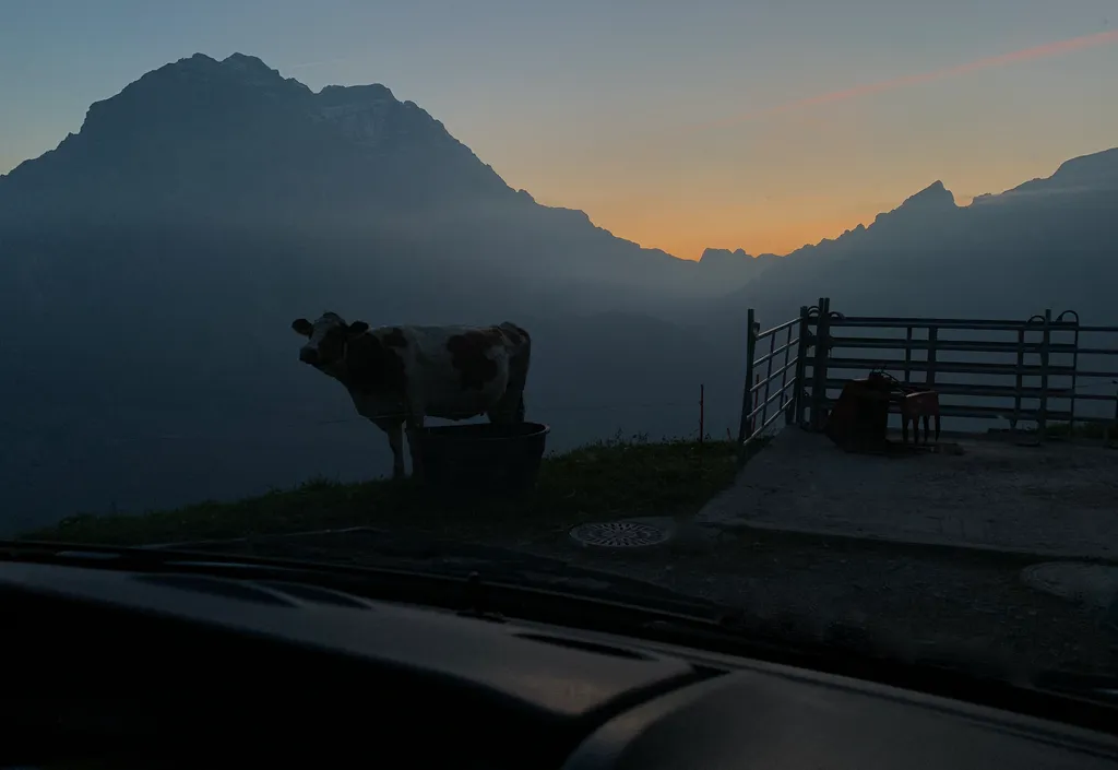 Bild von Wolfgang für den Spot 3575