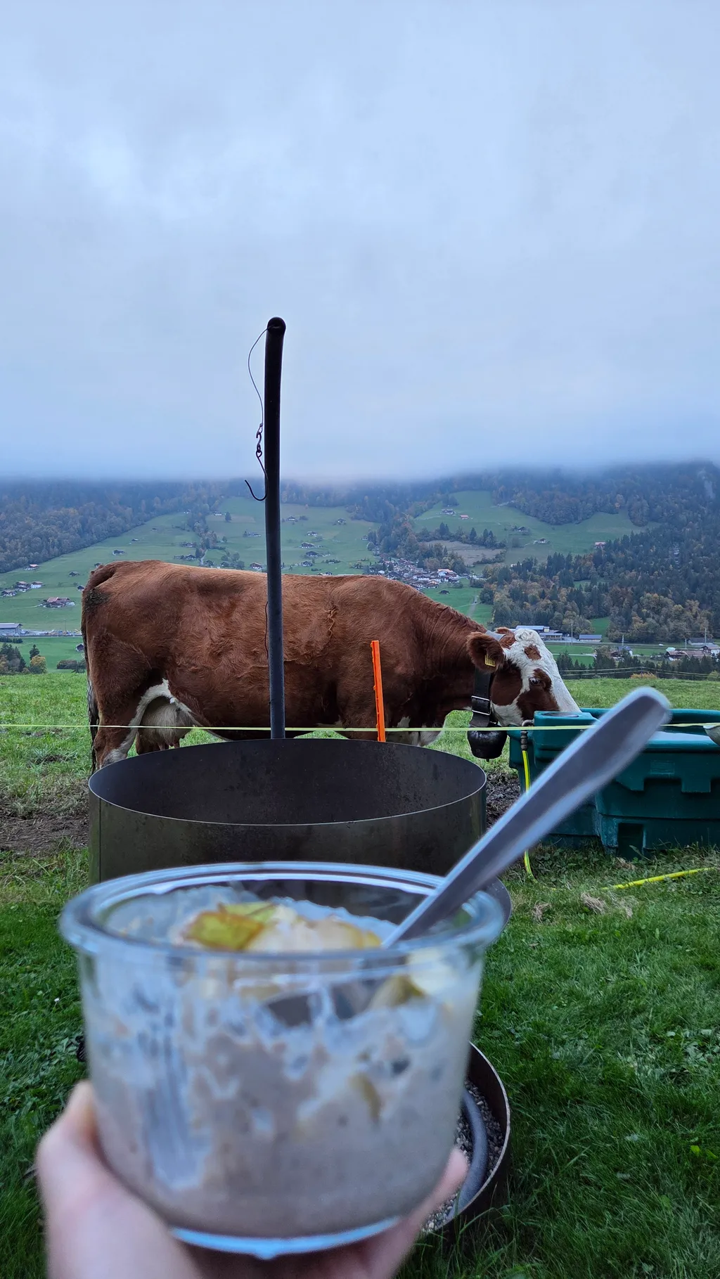 Bild von Fanni für den Spot 777