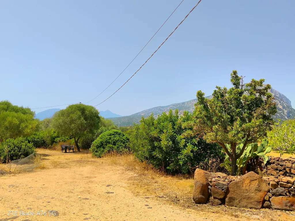 Campagna mediterranea a tre km dal mare