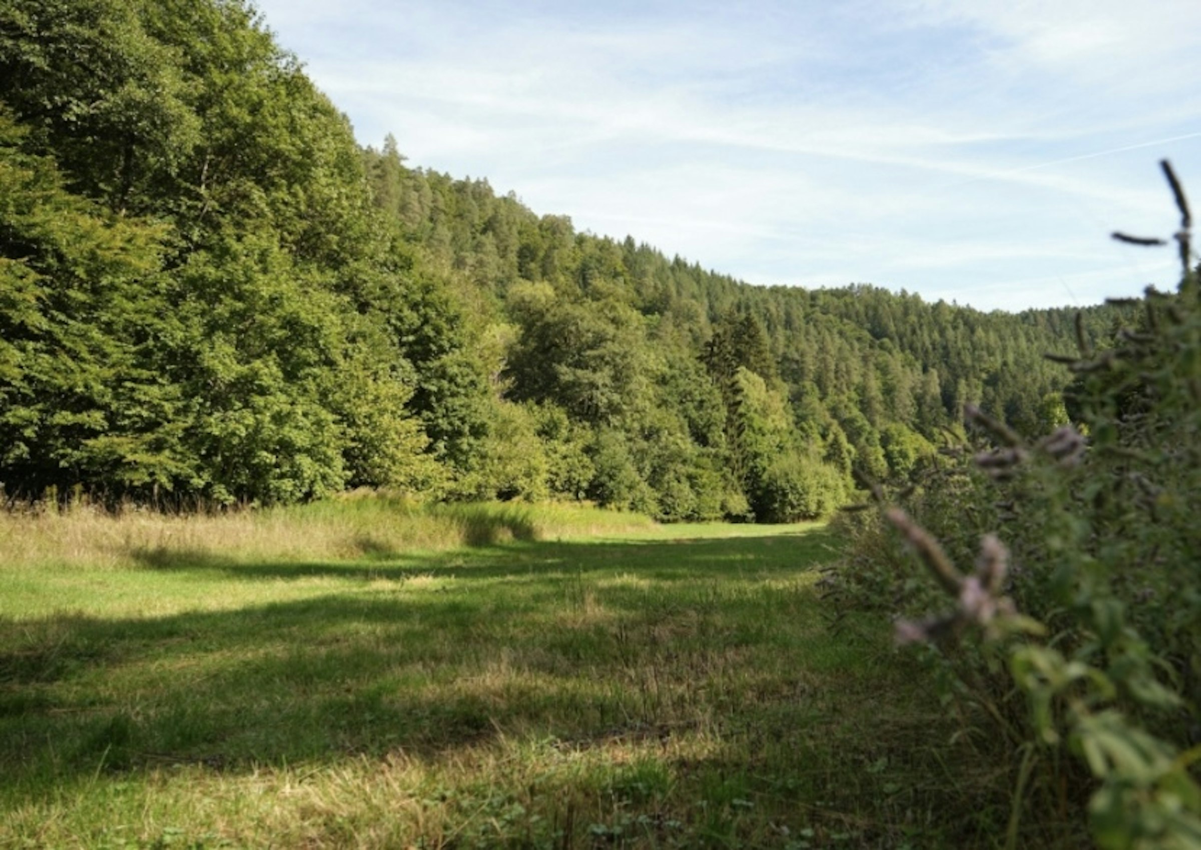 Übernachtung im historischen Nagoldtal — photo 3