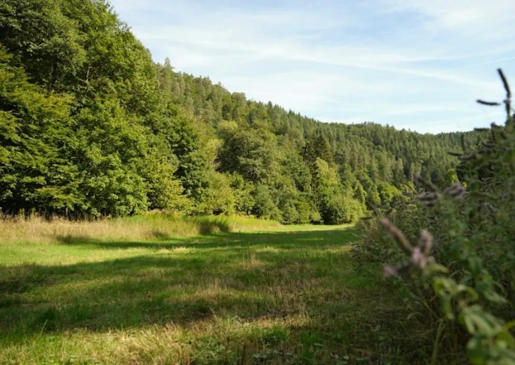 Übernachtung im historischen Nagoldtal