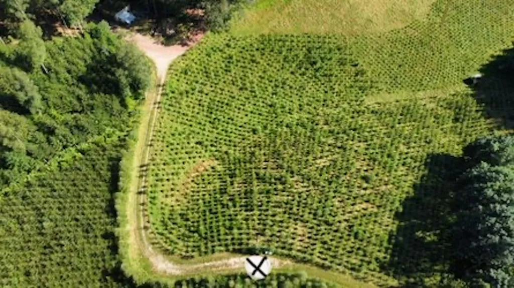 Bühl - Beim Naturdenkmal 🌳Eiche🌳