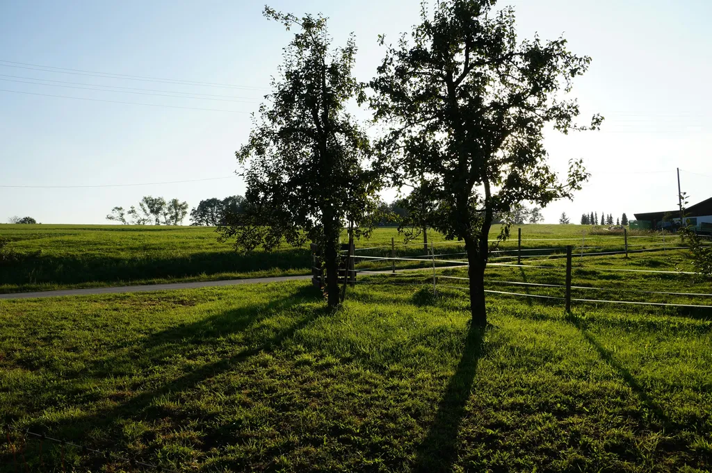 Camping der besonderen Art!