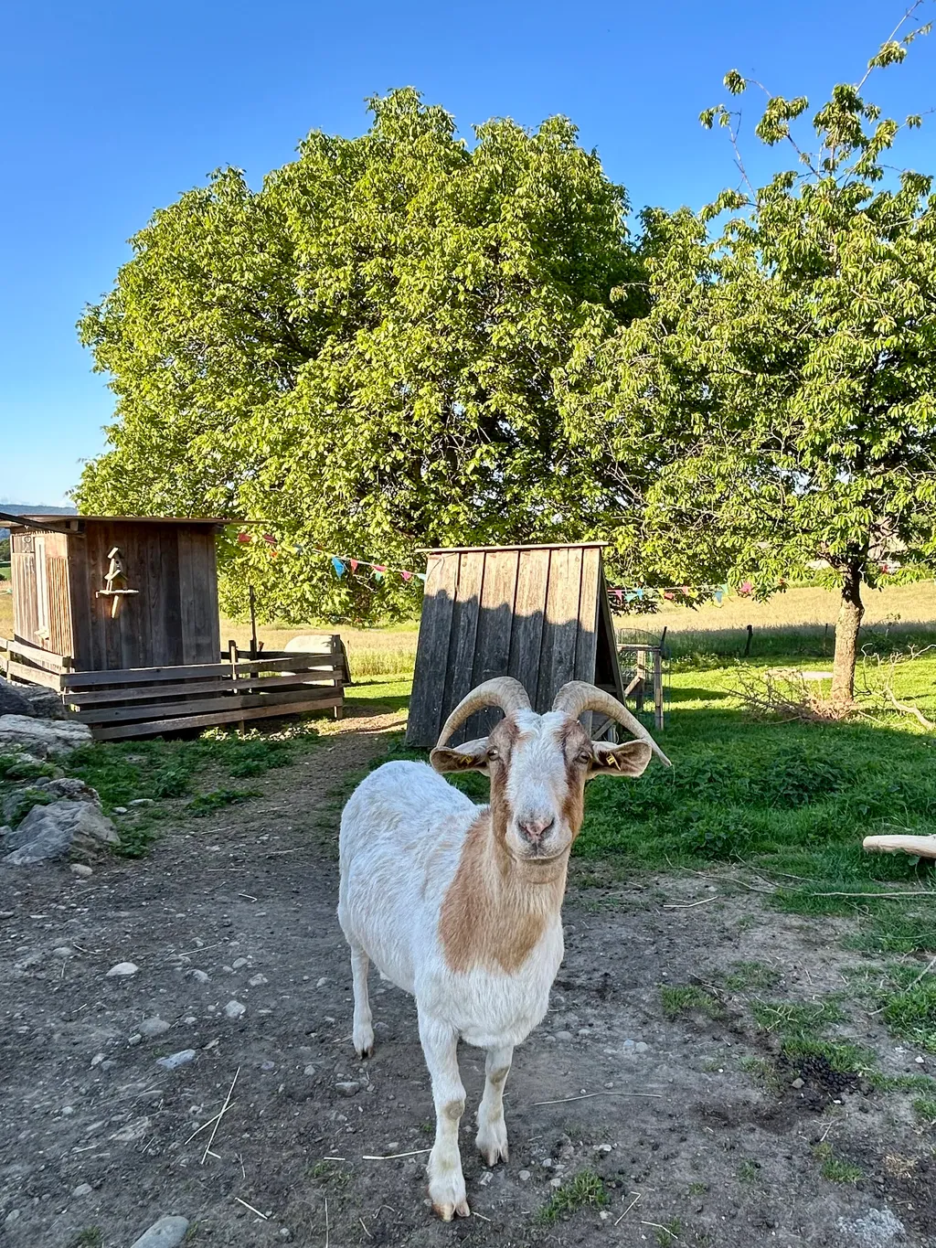 Bild von Jürg für den Spot 1387