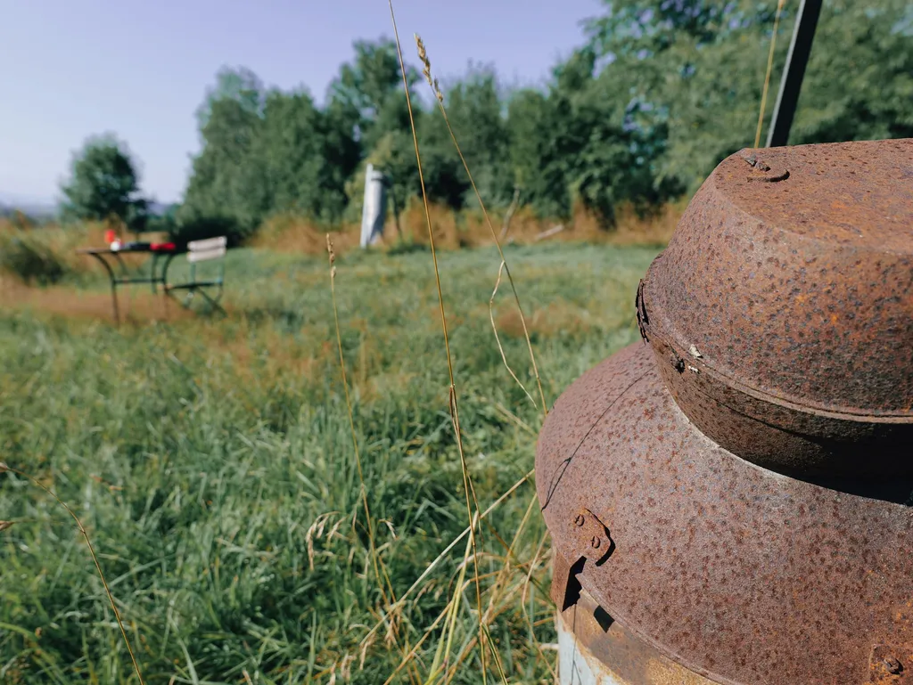 Naturidyll mit Bergblick 2