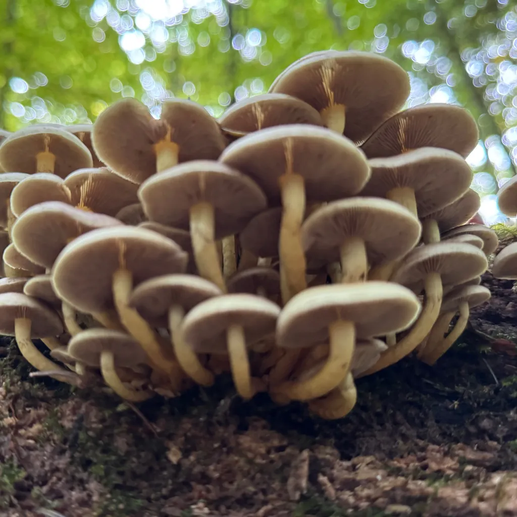 Profilbild von Frank