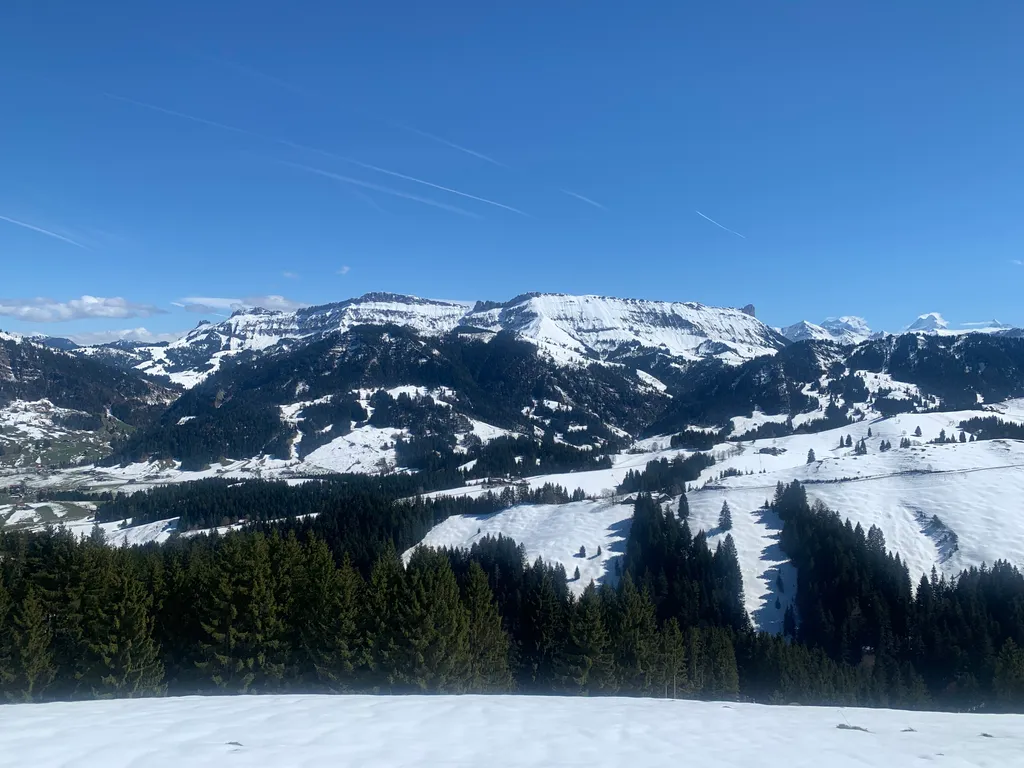 Image by Hanspeter & Kannika for spot 4425