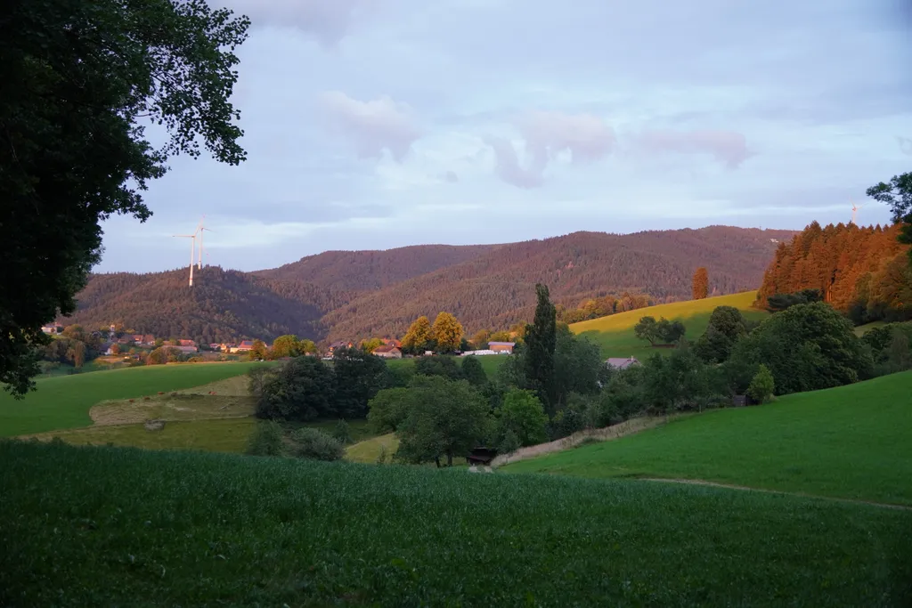 Bild von Frederik für den Spot 1550