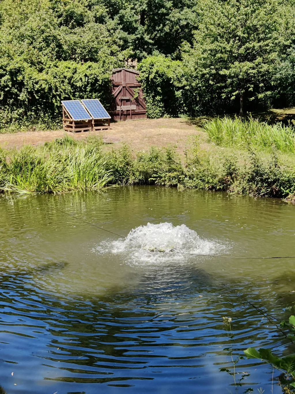 Forellenhof bei Friedels Enkel