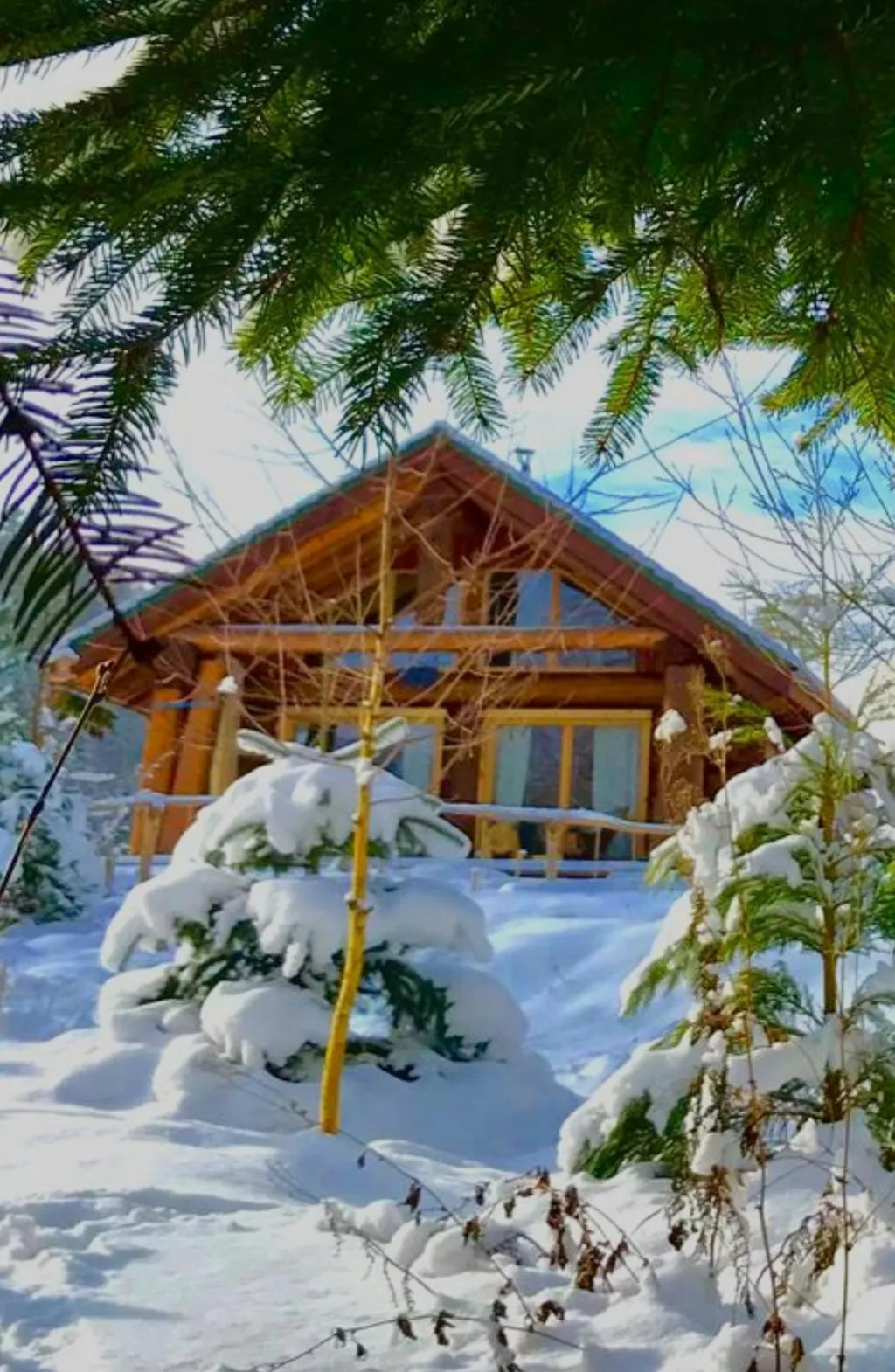 Blockhaus Grizzlylodge Privat SPA