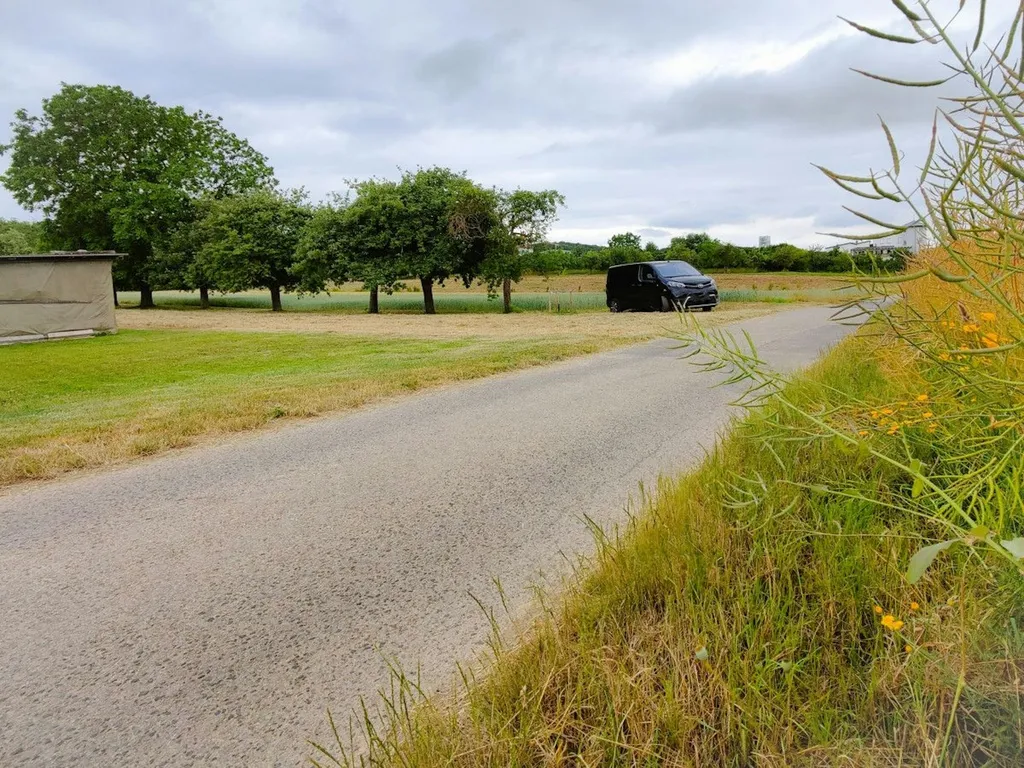 Obstbaum-Wiese inmitten von Feldern