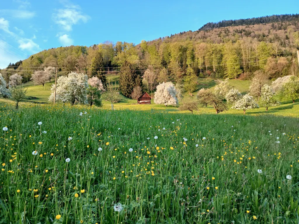 Lieblingsplatz mit Sicht auf See & Berge, «Gädeli»