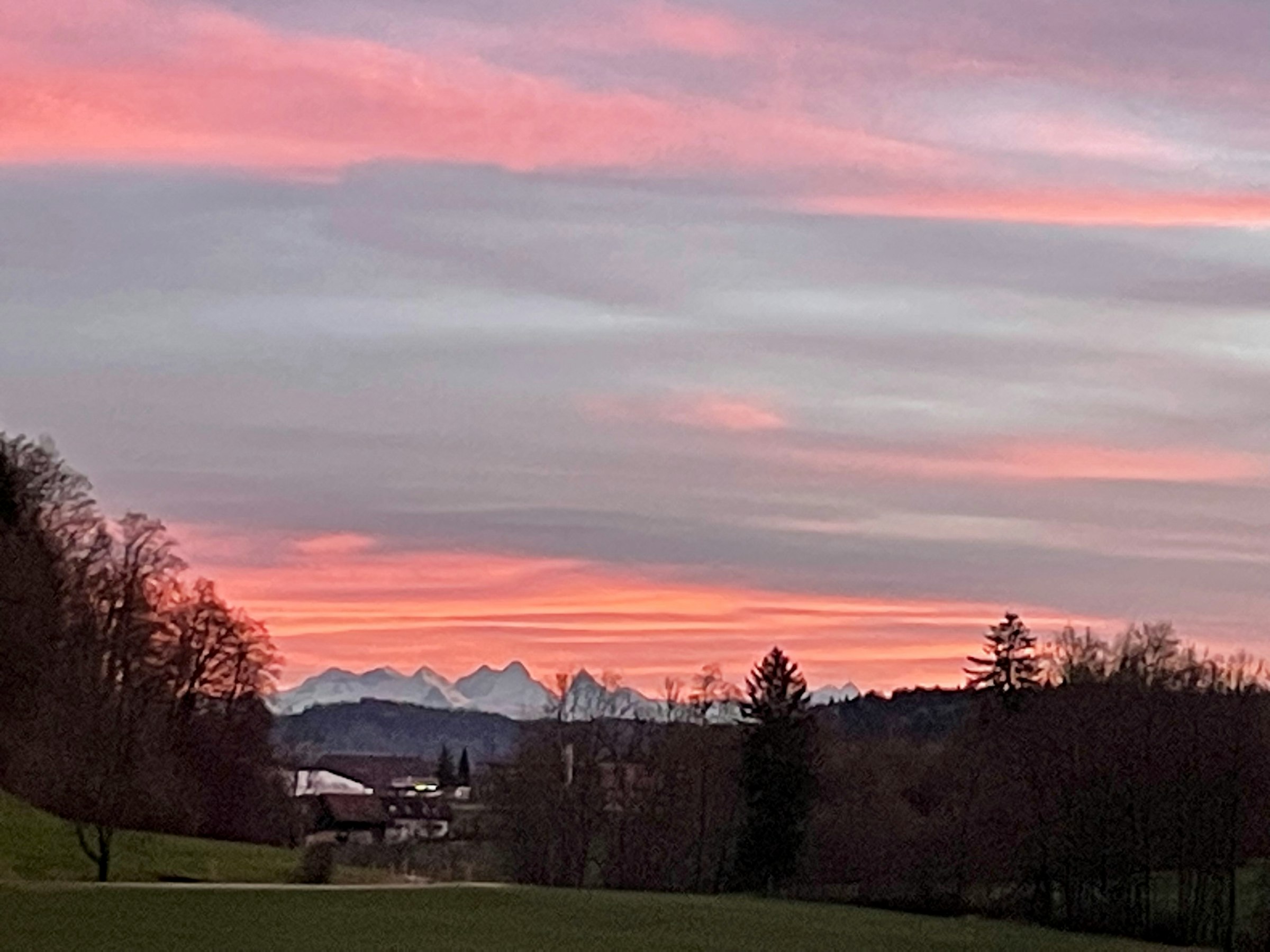 Kiltberg, "Chirschboum":