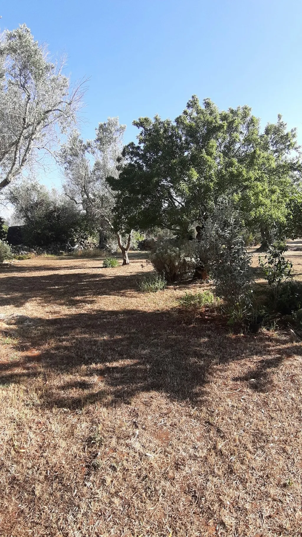 Camp Badia San Michele