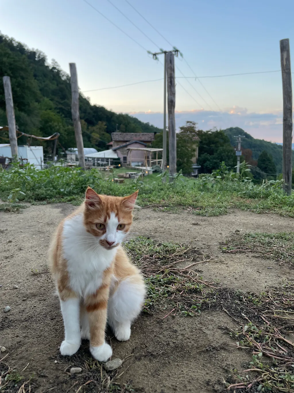 Image de Paul pour le spot 4055