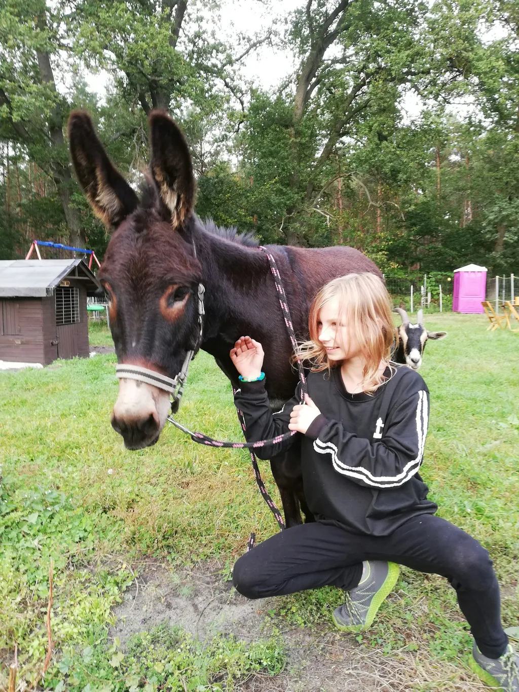 Hof, Tiere & pure Natur