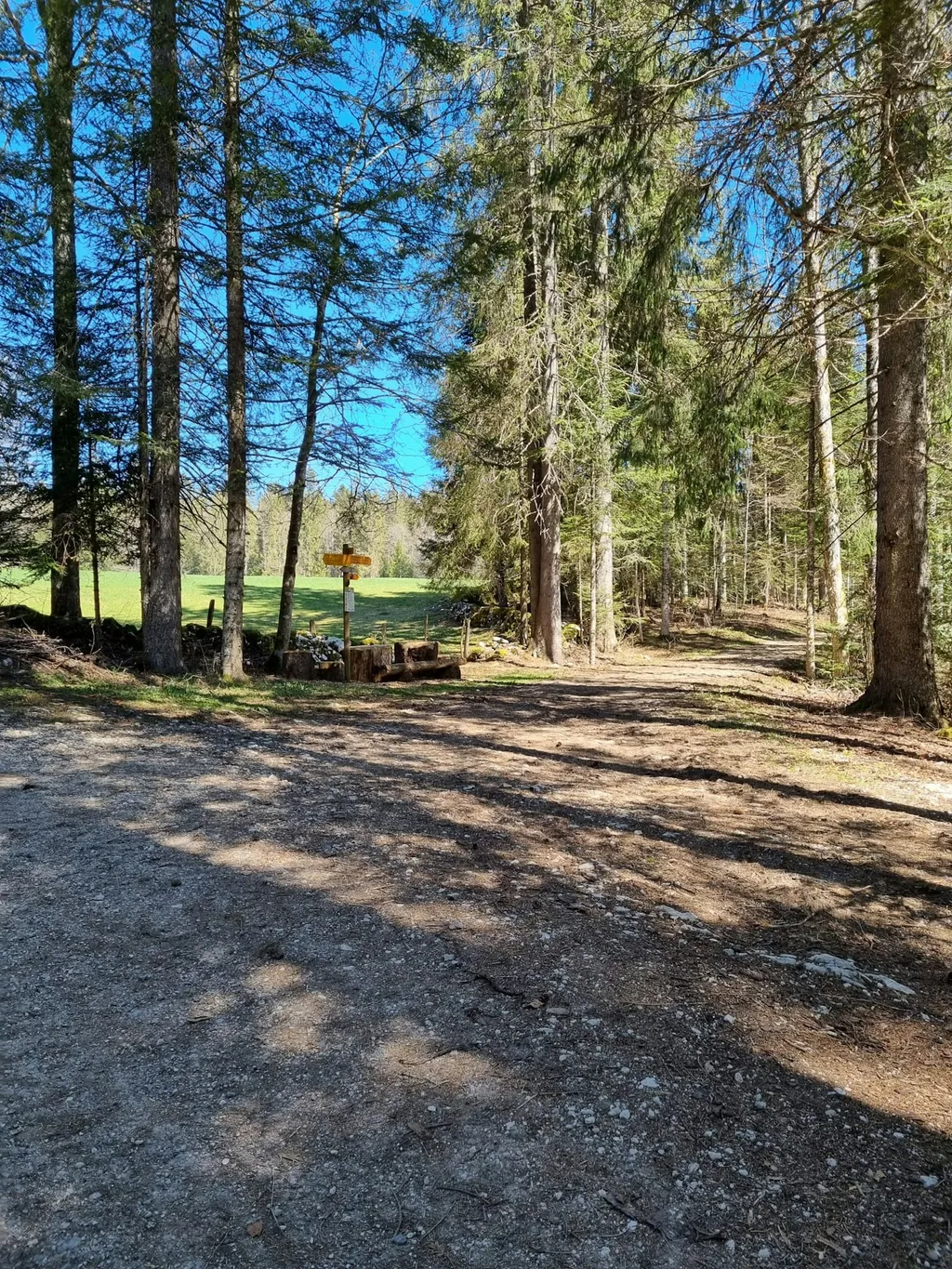 La Prise-Fège - "Clairière"