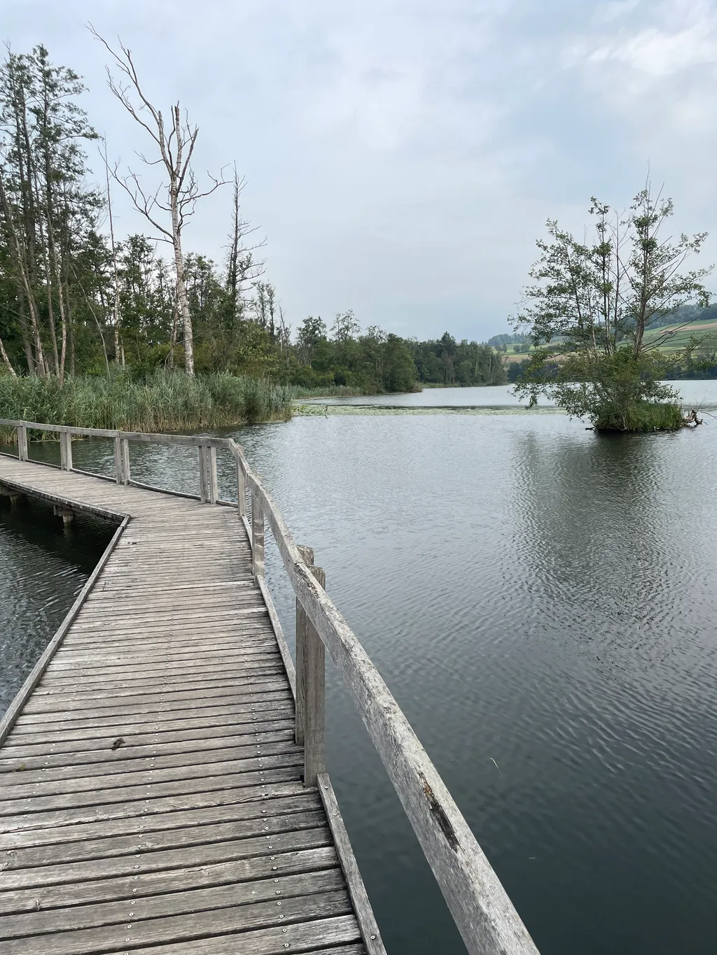 Bild von Kelly für den Spot 885