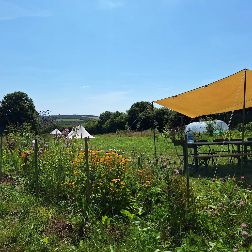 Rural micro farm with veggies for visitors