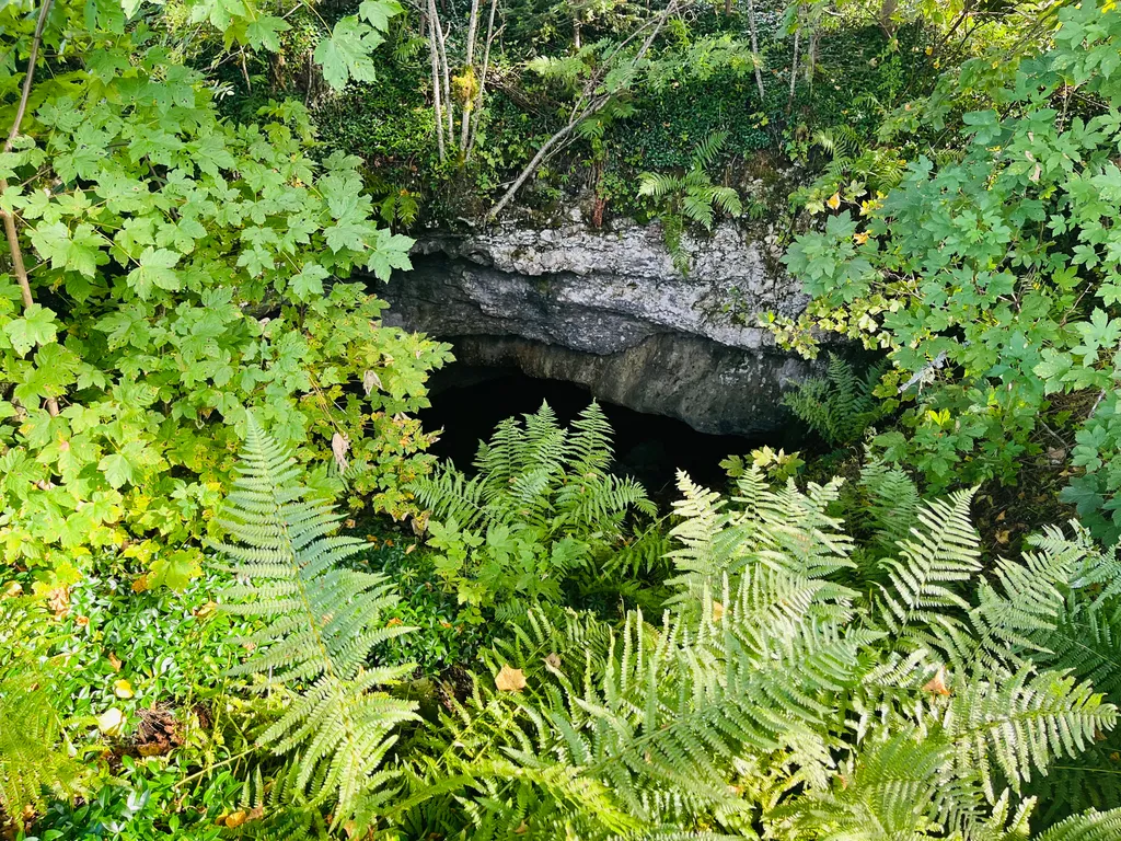 Bild von Cécile für den Spot 723