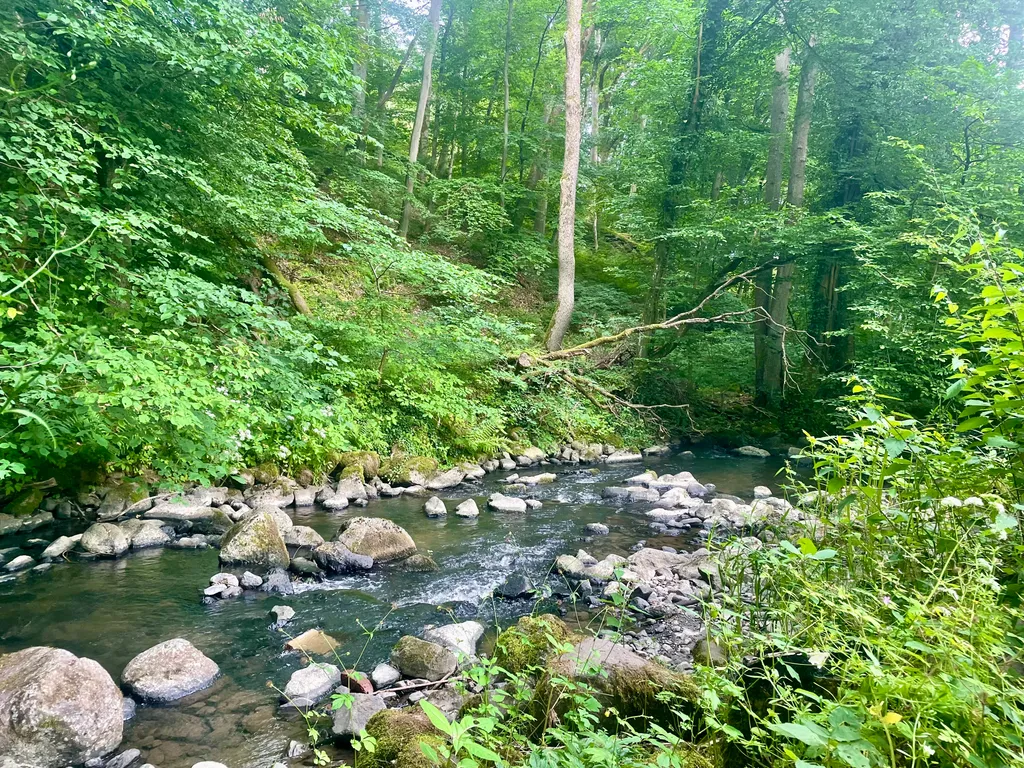 Bild von Karsten für den Spot 4532