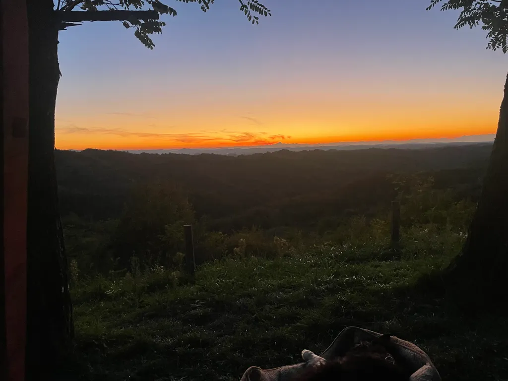 Bild von Susanne für den Spot 904