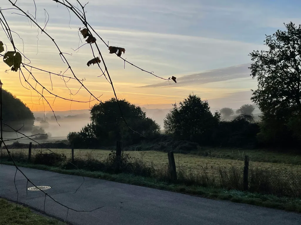 Blick ins Tal hinter der Scheune