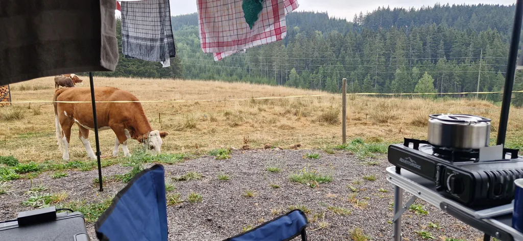 Bild von Michel für den Spot 1702
