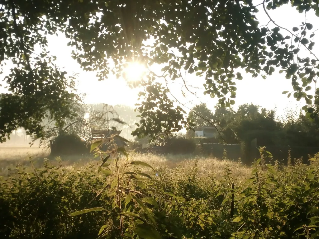 Schöne Wiese am Waldrand – Niemegk