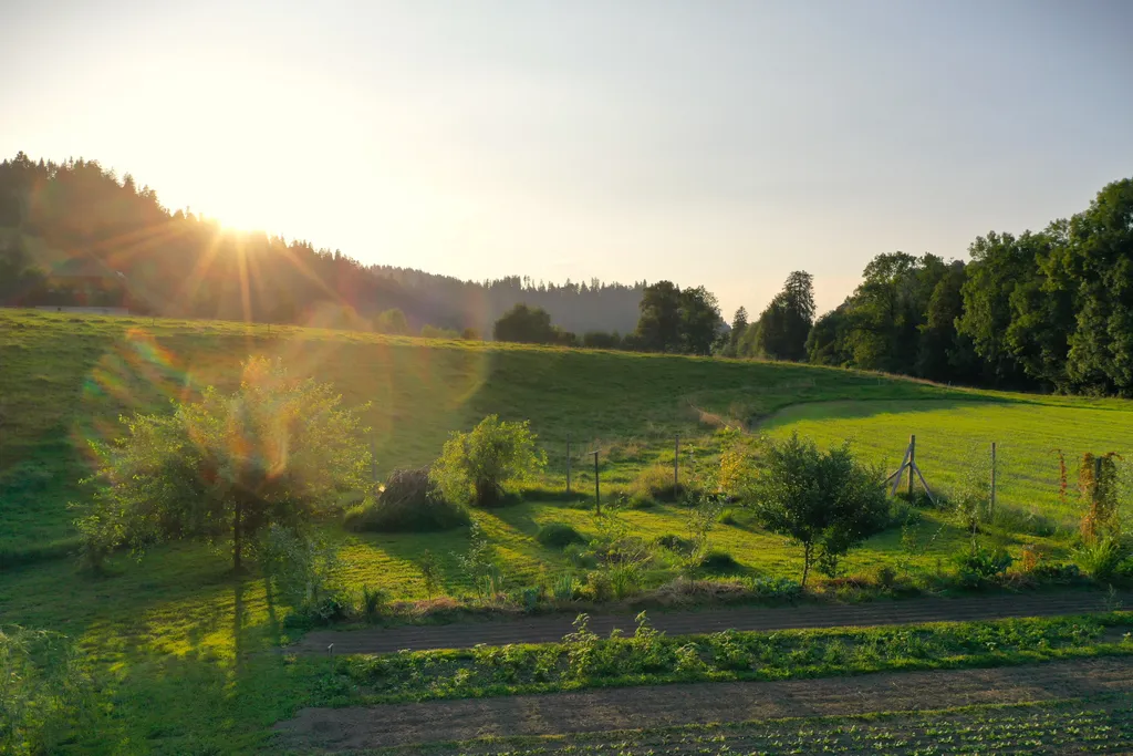 Blick Richtung Westen
