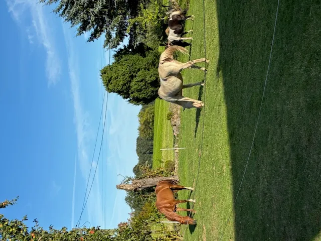 Bild von Marc für den Spot 3729