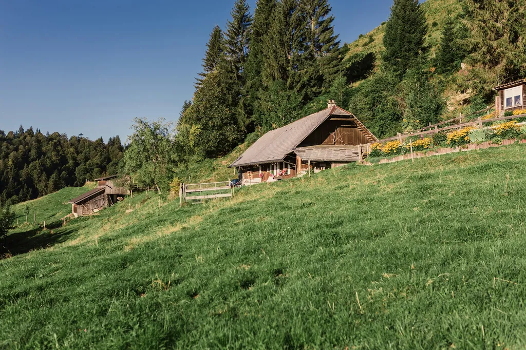 Alphütte Birbäumli