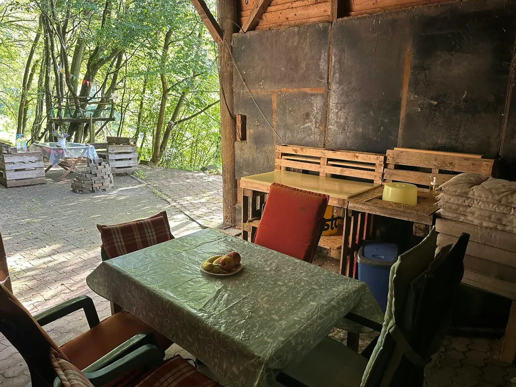 Waldwiese im Hunsrück / Soonwald