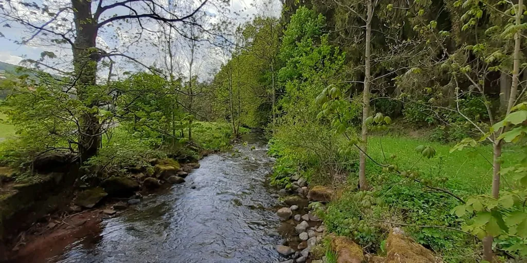 Sinngrund 1