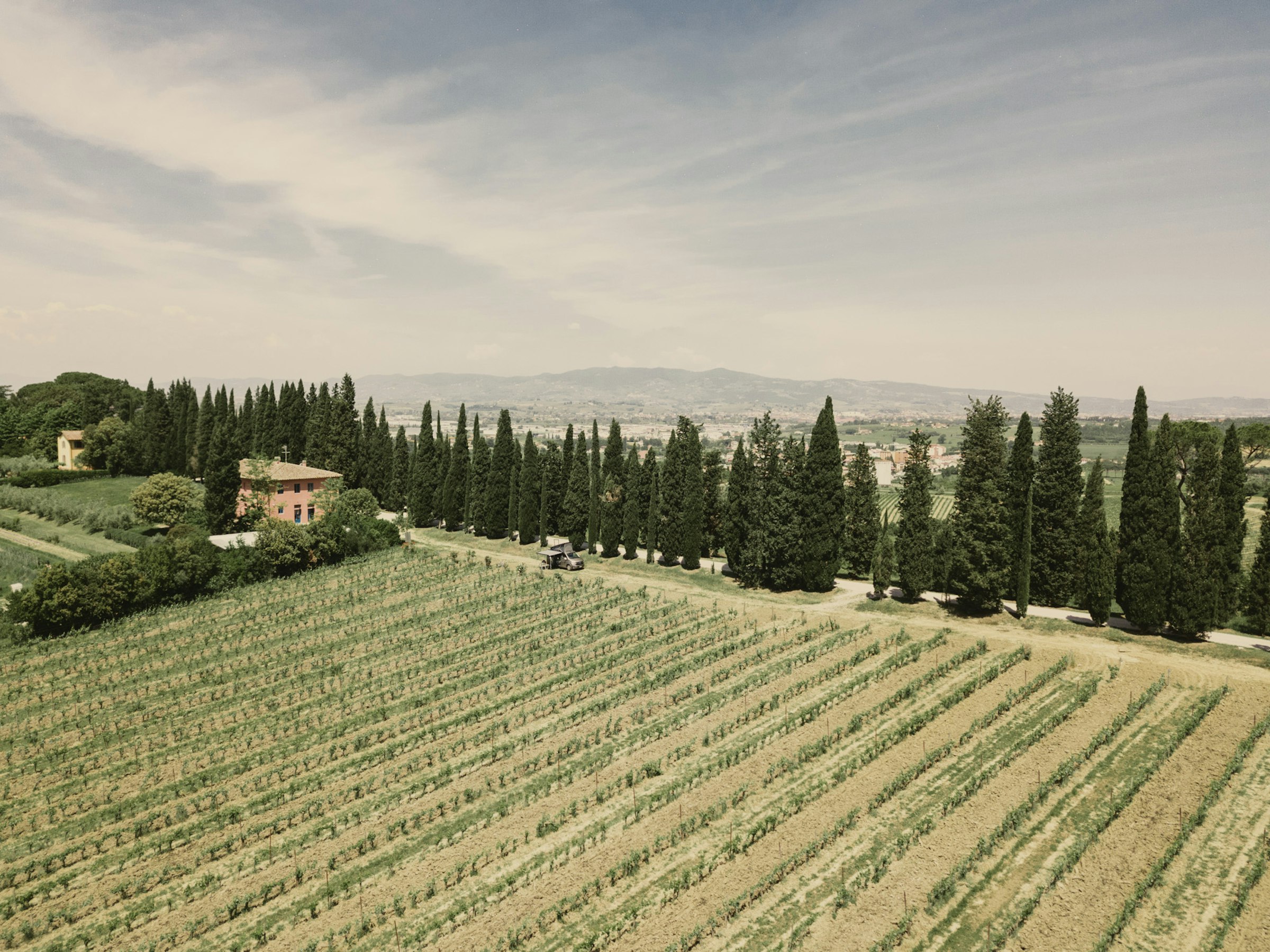 Camp nel vigneto đđ·