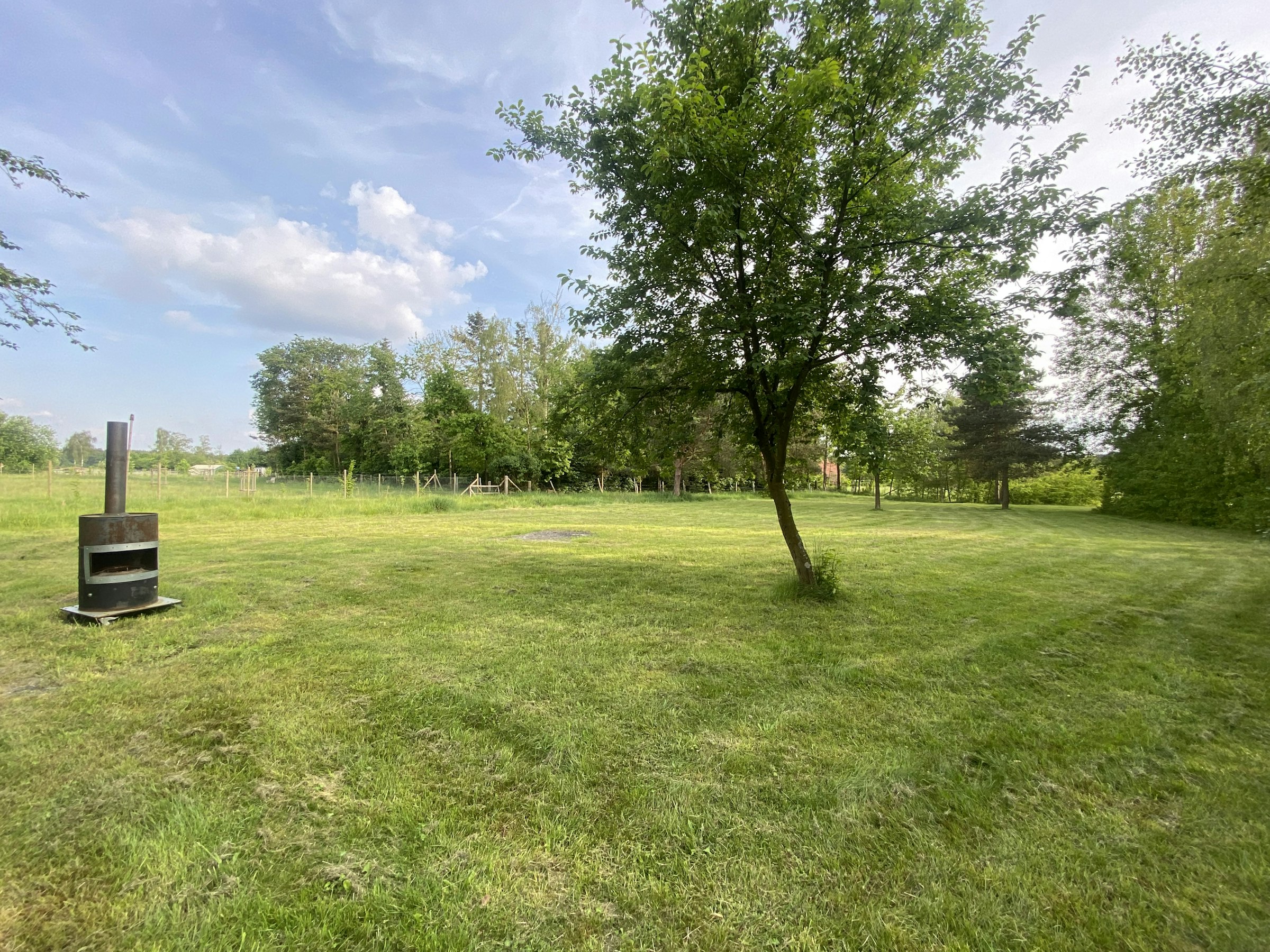 Wiese mit Teichblick