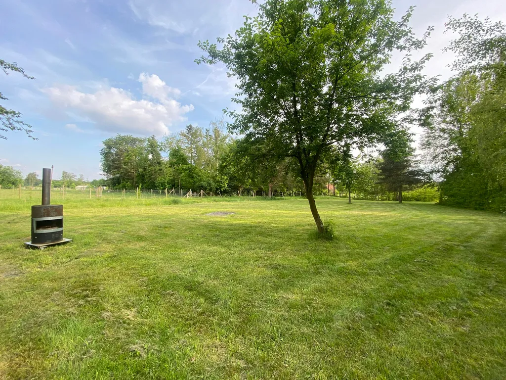 Wiese mit Teichblick