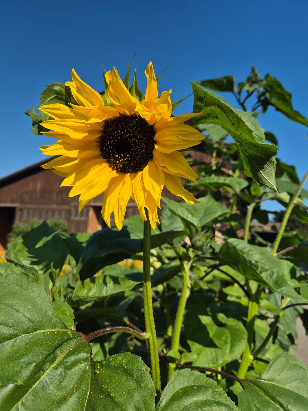 Bild von Tanja für den Spot 234