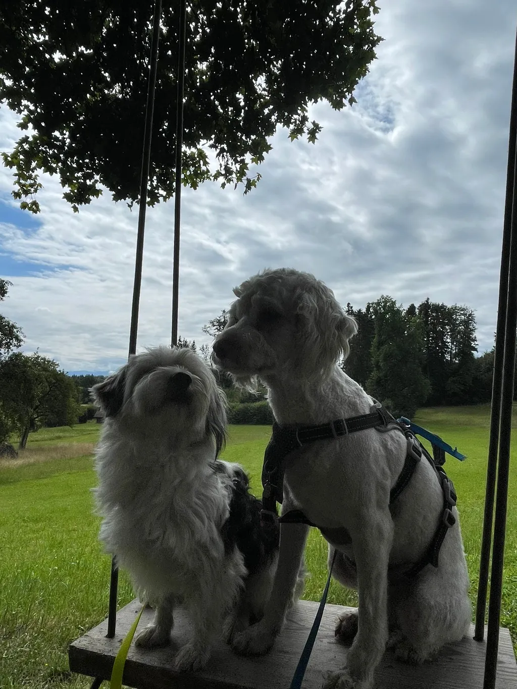 Bild von Jirko für den Spot 895