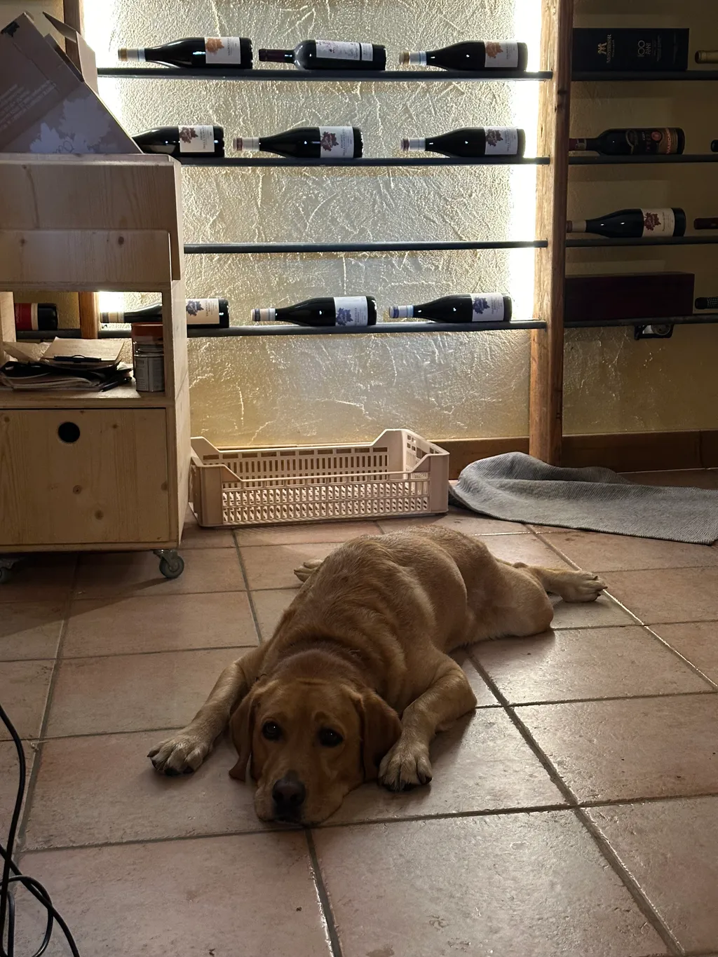 Bild von Kemal für den Spot 1107