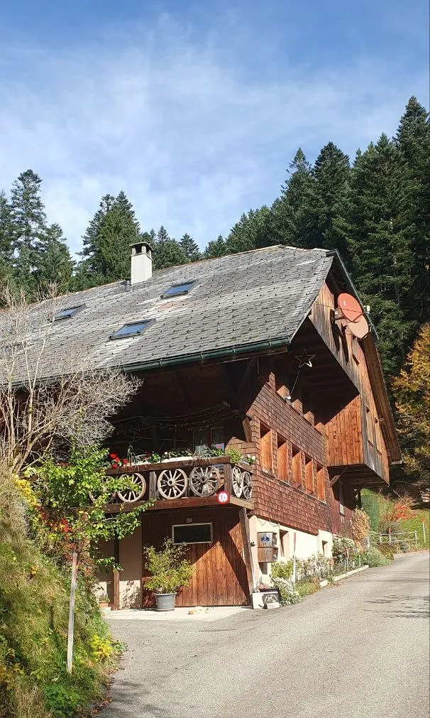 Natur pur, mit Angebot Ponyreiten