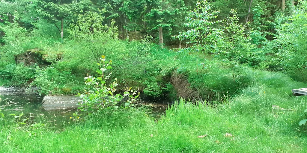 Campingplatz Steinbruch Bayern