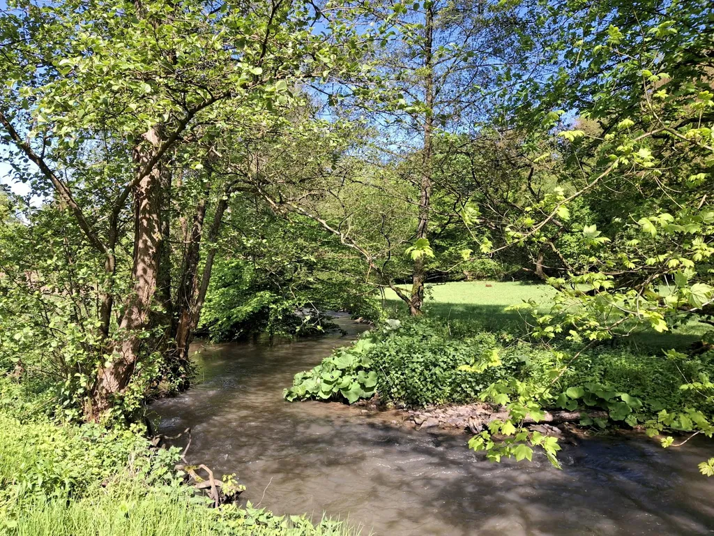 Platz am kleinen Saynbach