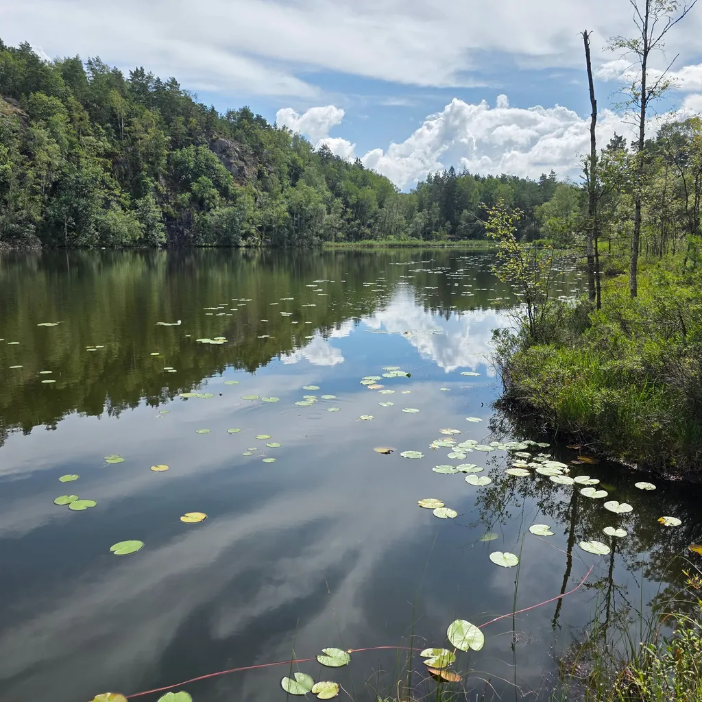 Foto del profilo di Michael