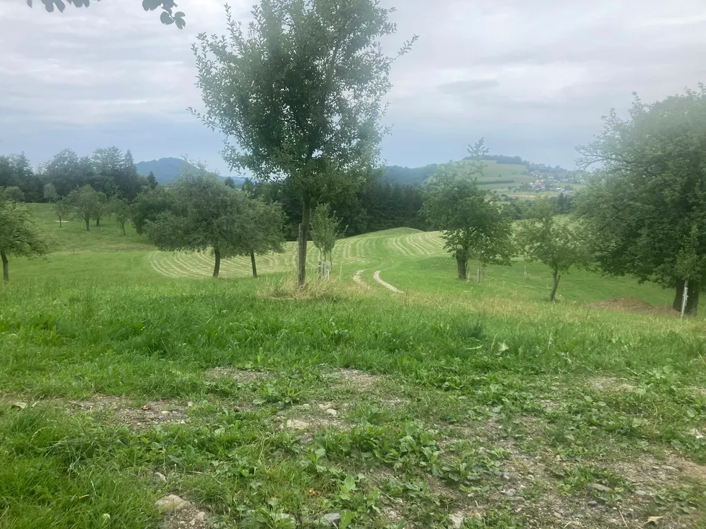 Naturplatz im Obstgarten