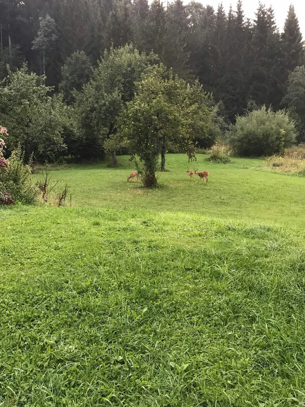 Ruhiger Platz mitten in der Natur