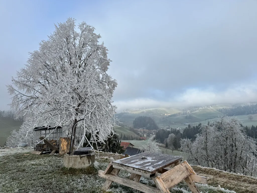 Bild von Karin für den Spot 377